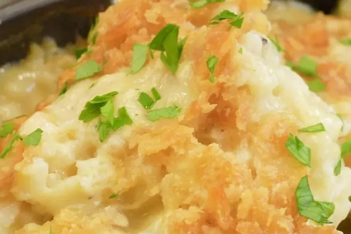 Casserole Recipes, freshly made and ready to serve