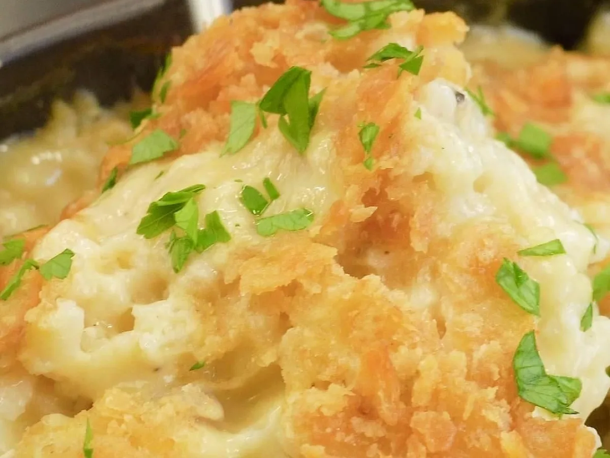 Casserole Recipes, freshly made and ready to serve